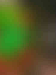 front right view of vibrant green sacred heart sculpture with orange and yellow conical spikes.