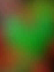 close up view of green eye in vibrant green sacred heart sculpture with orange and yellow conical spikes.