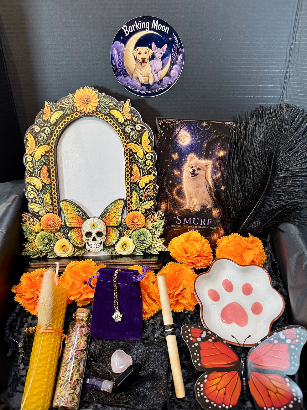 Thumbnail: Día de los Muertos Pet Remembrance Ritual Box 