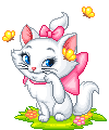 micina_3