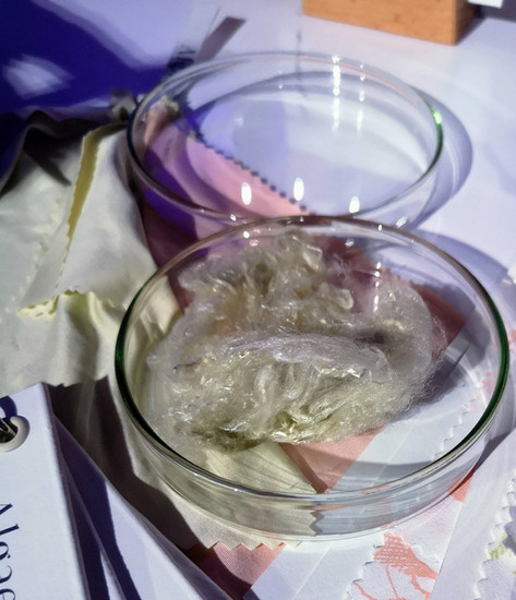 Algaeing textile dye and ink