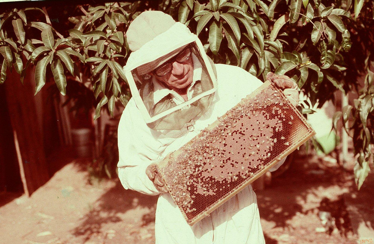 Yitzhak Ferman with the plastic honeycomb he developed. Credit Eitan Ferman