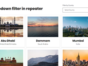 How do I add Dropdown Filter for Repeater in Wix 2023 (No Code)