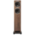 Thumbnail: Fyne Audio F501S