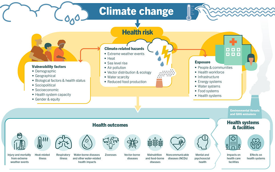 risk-pathways-climate-health.jpg