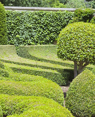 Manicured Garden_edited.jpg