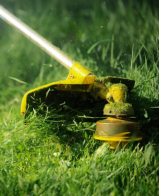 Lawnmower _edited.jpg