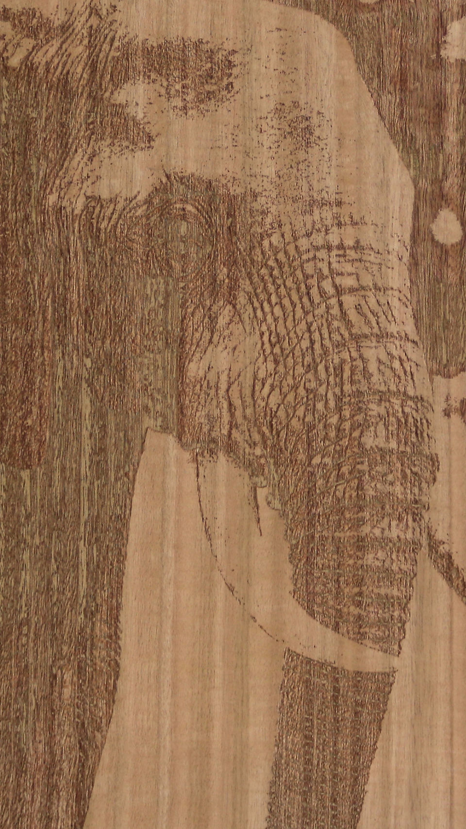 ACOUSTIC PANEL LASER PRECISION DETAILING ENGRAVED MICRO-PERFORATION 