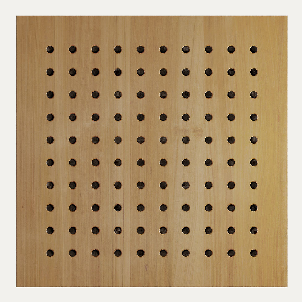 Acoustic ceiling panels in a Western Australia architectural interior