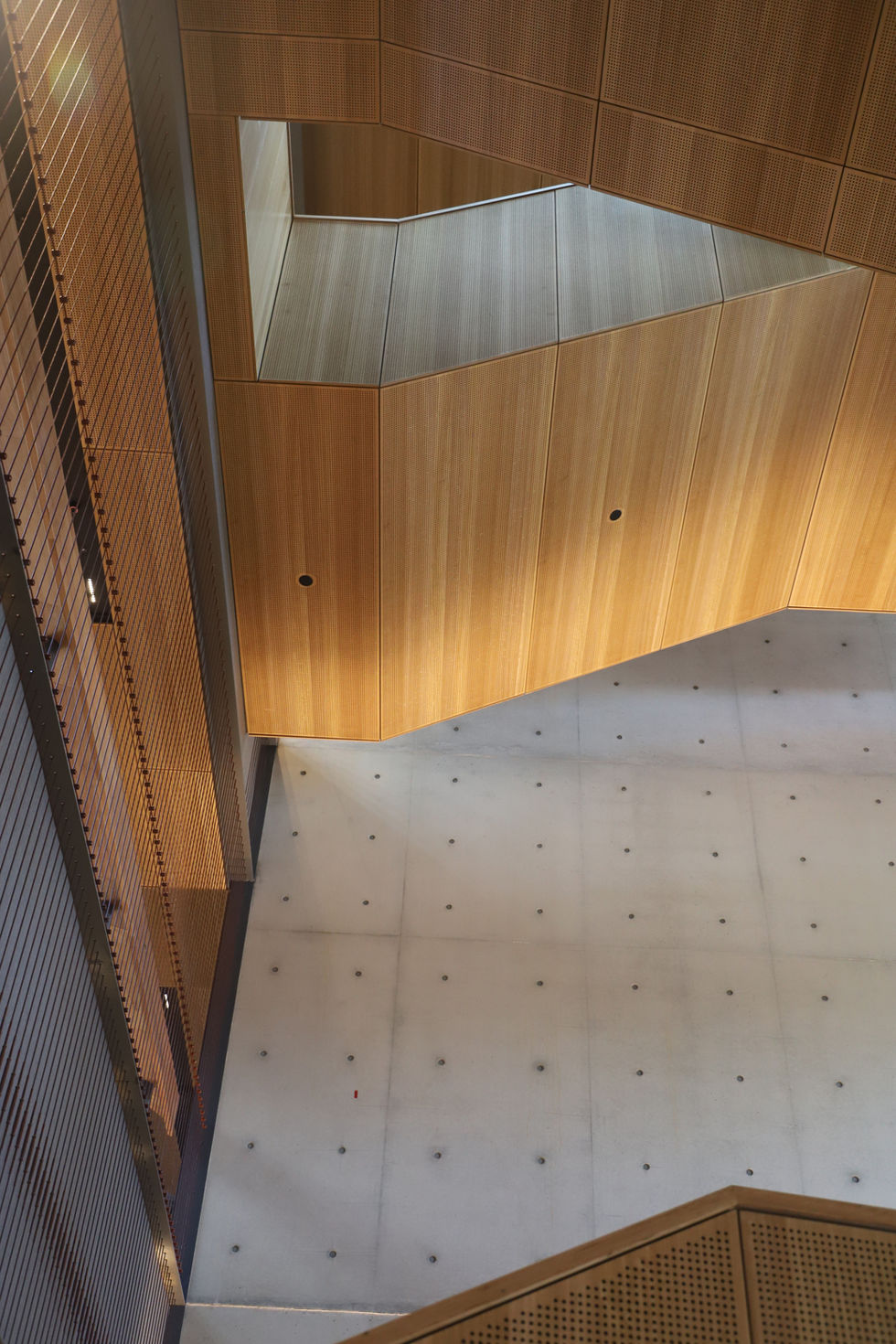 architectural acoustic timber panels used on walls and ceilings in an education environment in Australia. 