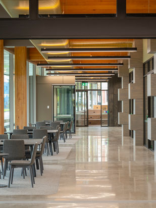 Artiem PLYWOOD System ACOUSTIC PANEL shown as a minimal lining application in a real project