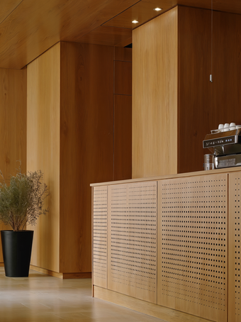 Perforated acoustic panel system with round holes, perspective interior view, product overview image.