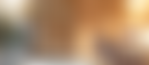 Calm interior with timber wall lining creating a warm, refined architectural backdrop