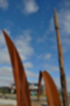 Warralily Developement