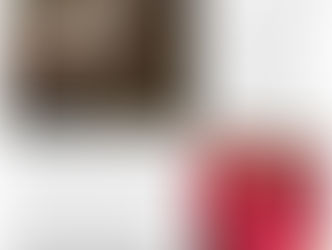 L'Assemblée Nationale par Marie T