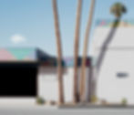Palm trees in front of building with geometric patterns and 'One Way' sign.