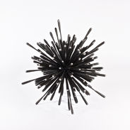 Dark Star