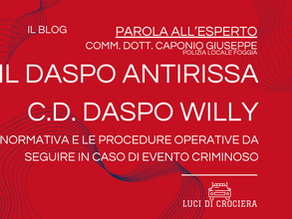 IL DASPO Willy: Aspetti e novità dopo la sentenza n° 20/2026 della Corte Costituzionale