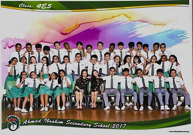 ahmad-ibrahim-secondary-school-portfolio-dian