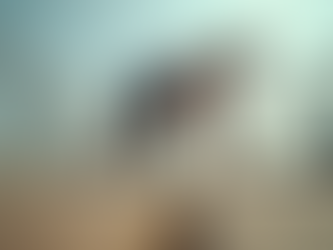 Tailored Fitness for Active Aging Men’s Active Aging Fitness