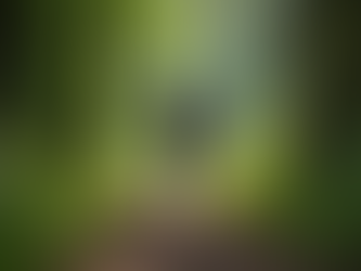 Active Aging Fitness: Benefits of Aging Fitness Plans for Wellness