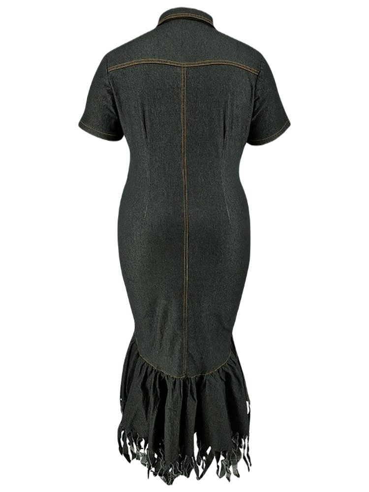 Thumbnail: Danim Mario Ladies Denim Dress,