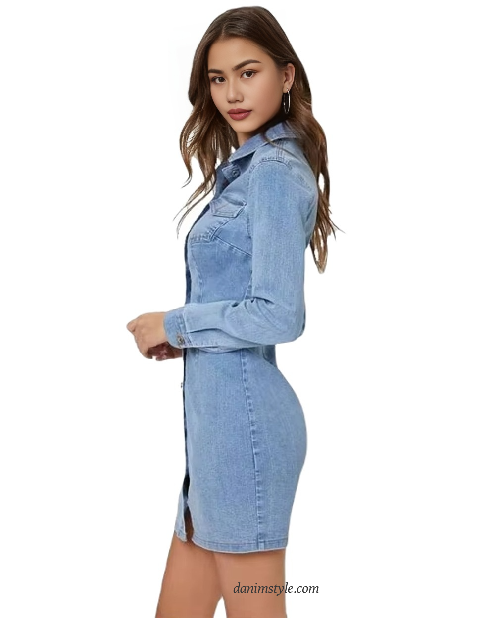 Denim Bodycon Ladies Dress,