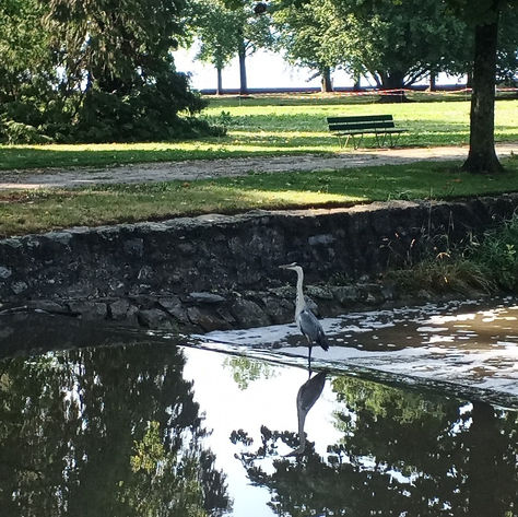 Peur de ralentir dans un quotidien effréné ? Voici mes 3 astuces.