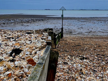 Unforgettable Adventures Await: Best Things to Do in West Mersea When Renting a Beach Hut