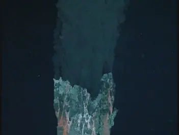 Dive into the Wonders of the Cayman Trench