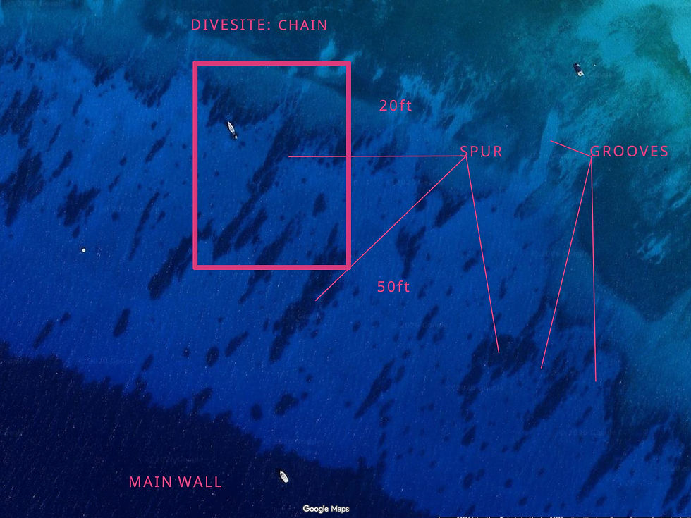 Google Maps ocean view dive site chain, spur, grooves, main wall, and 20ft/50ft measurements in Grand Cayman
