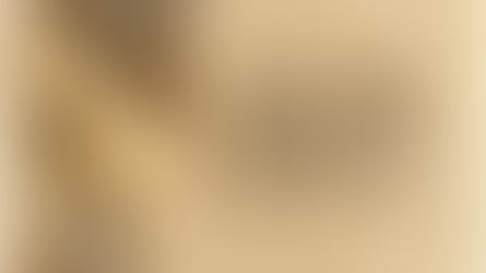 The Modern Rogues - The Inside Sessions EP