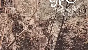 SINGLE REVIEW: SORREL NATION - CRAZY FOR YOU