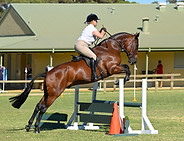 Feel The Roth & Jacinta Pope