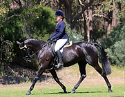 Rosemount Lustre & Hannah Griffiths