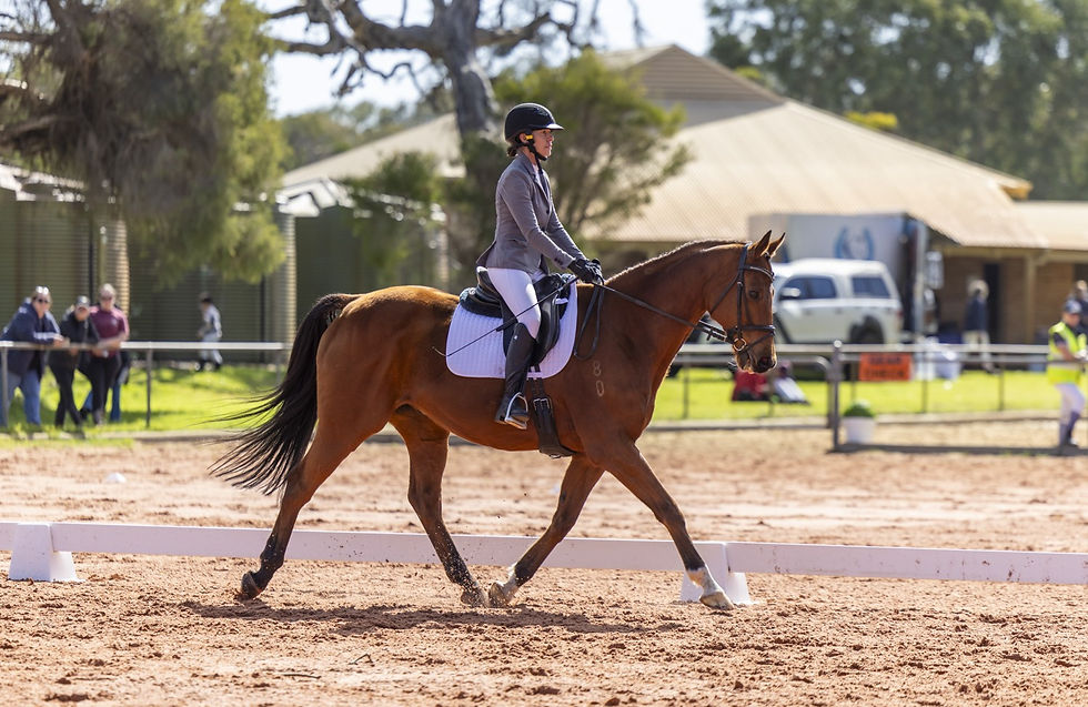 Equator & Inge Rodgers