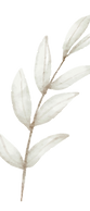 7eb3b6e8-e2a2-40ba-a33b-8ebc79920340.png
