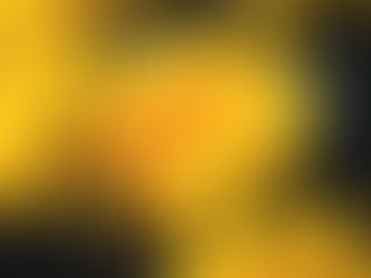 喪禮花卉的意義:選擇合適花卉表達哀思