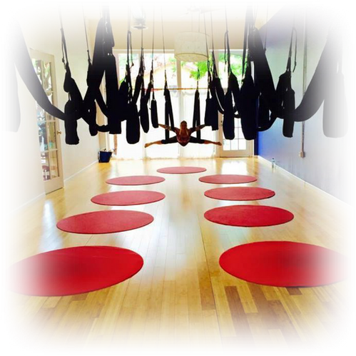 AYRx DELUXE SWING SET | ayrx