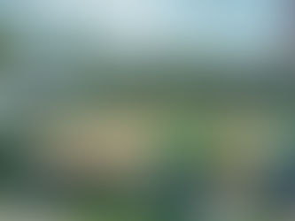 Sägemehlduft in Hochdorf