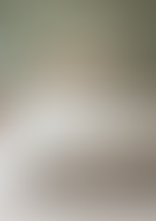 What Colour Bedding Goes With Green Walls? A Designer’s Guide to Getting It Right Every Time