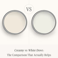Creamy vs White Dove: The Comparison That Actually Helps You Decide
