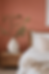 Walls: Caribbean Coral 
