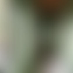 12 Green Hallway Ideas That Will Completely Transform Your Entryway