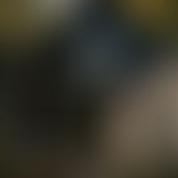 12 Blue Exterior House Colours Designers Love for a Timeless, Elegant Look