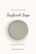 Benjamin Moore Saybrook Sage Color Palette
