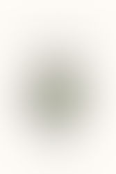 Benjamin Moore Saybrook Sage HC-114 - Undertones, LRV and an Architect's Review