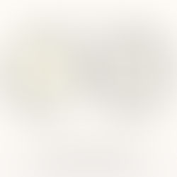 Swiss Coffee vs Alabaster - Same LRV, Different Undertones, Different Rooms