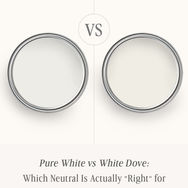 SW Pure White vs BM White Dove: The Comparison That Actually Helps You Decide