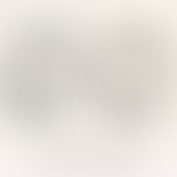 Drift of Mist vs Shoji White: The Comparison That Actually Helps You Decide